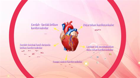 Kemampuan bertahan thd segala pengaruh dari luar yang dapat merugikan (penyakit, serangan musuh, godaan, dsb) Daya tahan kardiovaskular by adib afham