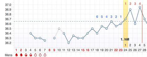 Wenn dein menstruationszyklus bis zu 28 tage lang dauert, liegt der eisprung etwa auf dem 14. Wieviel tage nach dem eisprung kommt die periode. wieviel ...