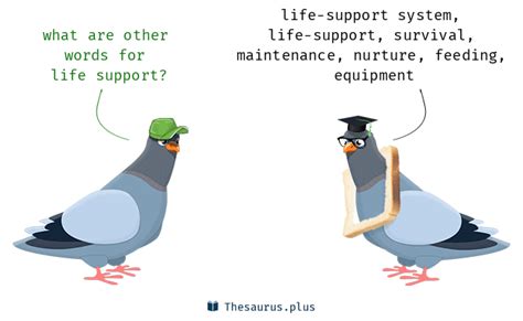 Life support Synonyms and Life support Antonyms. Similar and opposite ...