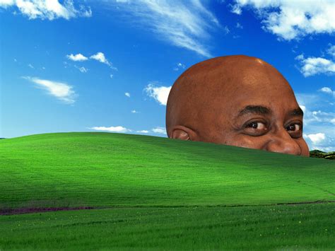 15 memes only those obsessed with protein will understand. Ainsley Bliss | Windows XP Bliss Wallpaper | Know Your Meme