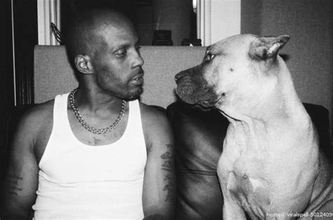 His stage name pays tribute to the oberheim dmx drum machine, an instrument he used when he made his own rap beats in the 80's. How Much Does DMX Love Dogs? - viralspell | Dmx, Rapper, Dogs