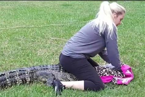 The eyes and nose are the only soft tissue areas that are vulnerable to attack. Watch: 'Gator Girl' removes reptile from Texas family's ...