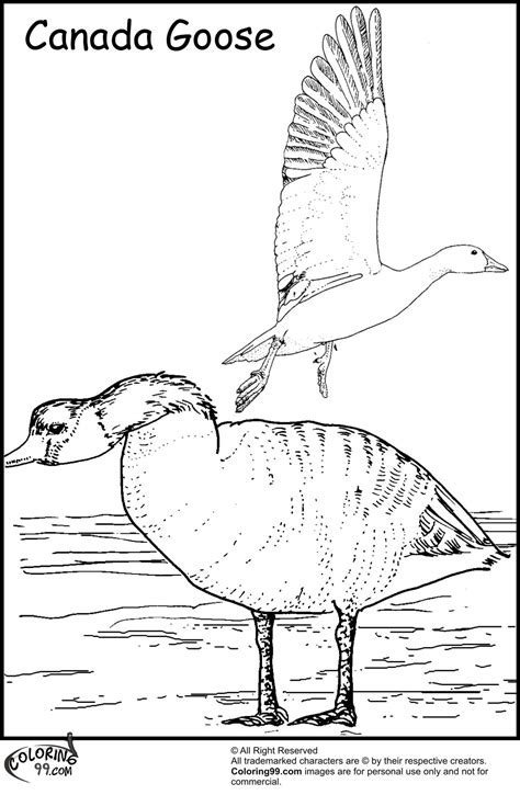 Click on any birds picture above to start coloring. Download Geese Migration coloring for free - Designlooter ...