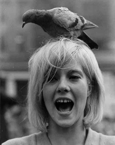 Her poems have appeared in the paris review, the nation, the new york review of books, subtropics, raritan, harvard review, and the. Oh Rêveries: Les Icônes et les Muses : Sylvie Vartan ...