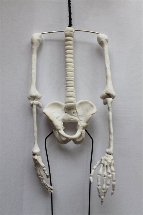 skeleton arm tutorial part 5 by olgatarta on deviantART | Skeleton arm, Sculpture clay, Skeleton