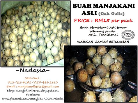 Banyak orang menjual buah ini dalam bentuk bubuk. Manjakani Herbs: Buah Manjakani Asli