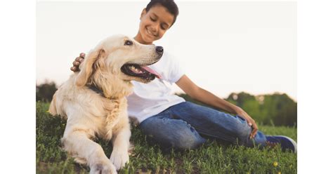 Canine Journal Ranks Healthy Paws Pet Insurance #1