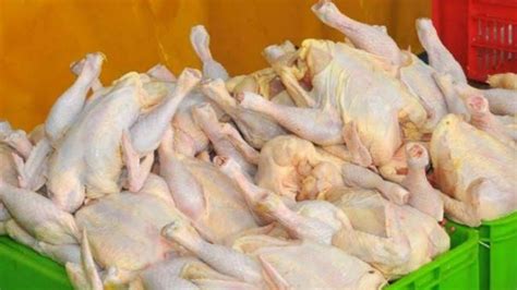 Telur ayam memiliki periode pengeraman selama 21 hari dan bisa menetas menggunakan inkubator (mesin pengeram) khusus dan diawasi, atau menggunakan ayam betina. Selasa Ini Daging Ayam dan Telur Turun di Pekanbaru ...