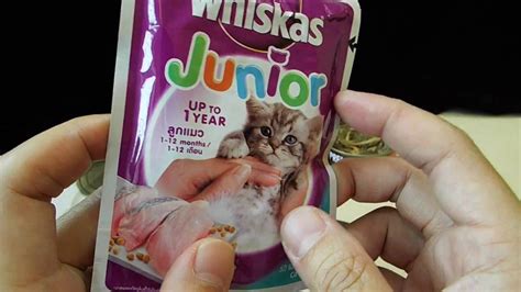 Euromonitor international is the leading provider what are the major brands in malaysia? Yi Hu Premium Cat food and Whiskas Junior test - YouTube