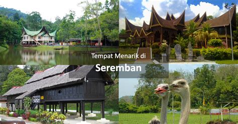 Salah satu biji ditanam di persekitaran kawasan taman tasik seremban. Tempat Menarik di Seremban - Findbulous Travel