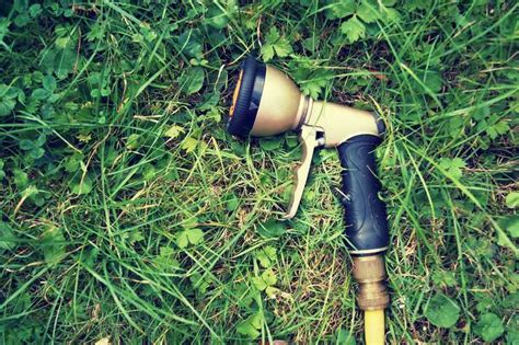 Keeping your hose rolled up lessens the clutter around your house and it prolongs the life of. How to Keep Watering the Garden With a Hose During ...