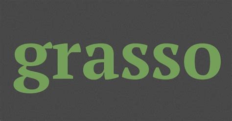Con l'aiuto di trucchi e soluzioni che troverai su questo sito, puoi passare attraverso ogni cruciverba. grasso sinonimi, grasso contrari :: Sinonimi - Contrari