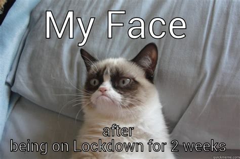Search, discover and share your favorite lockdown gifs. lockdown sucks - quickmeme