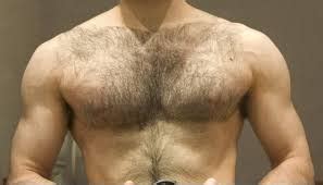 Most other men are at least a little bit jealous, and many hairy guys love it, but it's your choice (and your partner's, if you've got somebody). Does Body Building Prevent Body Hair Growth? - Trimbeast