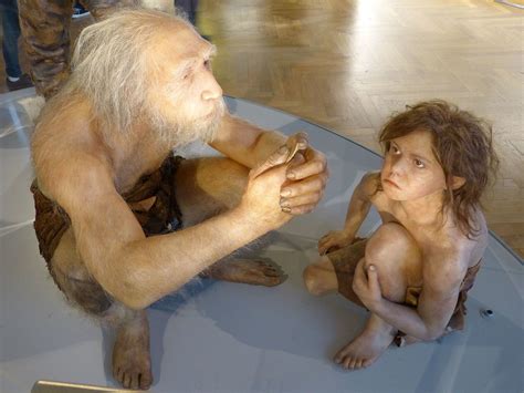 (there may be neandertals at your next family reunion!) Descubre el neandertal que hay en ti