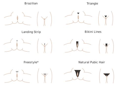 In the pubic region around the pubis bone, it is known as a pubic patch. File:Pubic hair styles.svg - Wikimedia Commons