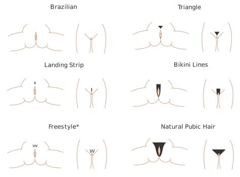 For starters, trim your pubic hair before applying the cream. File:Pubic hair styles.svg - Wikimedia Commons