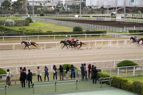 Jun 19, 2021 · 馬の名前じゃないけどアメリカのターフウェイパーク競馬場には芝コースが無い 44 名無しさん＠実況で競馬板アウト 2021/06/19(土) 23:08:33.64 id:73dxqfzu0 安田勝つ前のダノンキングリー すごい 競走馬 名前 かっこいい - トレンディなヘアスタイル