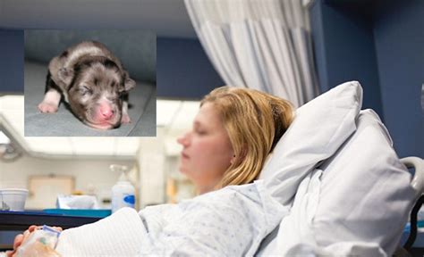 Trending newest best videos length. Woman Gives Birth To Puppies In Western Cape After Having ...