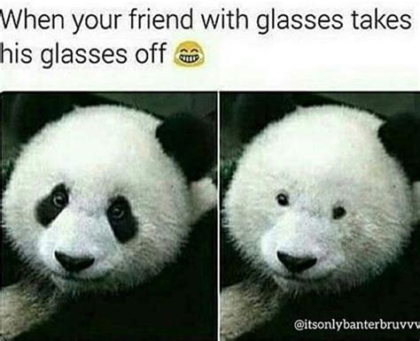 They can make anyone's day! 50 Memes About Wearing Glasses That Will Make You Laugh ...