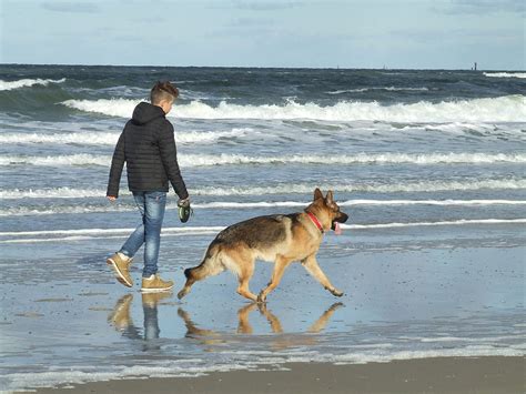 Zentral und ganz nah am strand! Die Wohnung - Haus Ommen