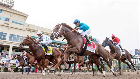 The preakness stakes is back in its traditional spot in 2021 as the second leg of the triple crown. Cotes, prétendants, alignement de Preakness Stakes 2020 ...