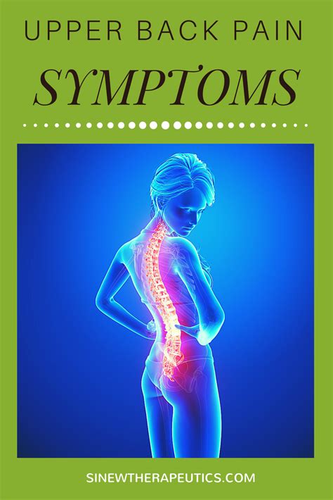 The muscles of the back can be divided in three main groups according to their anatomical position and function. Pin on Upper Back Pain