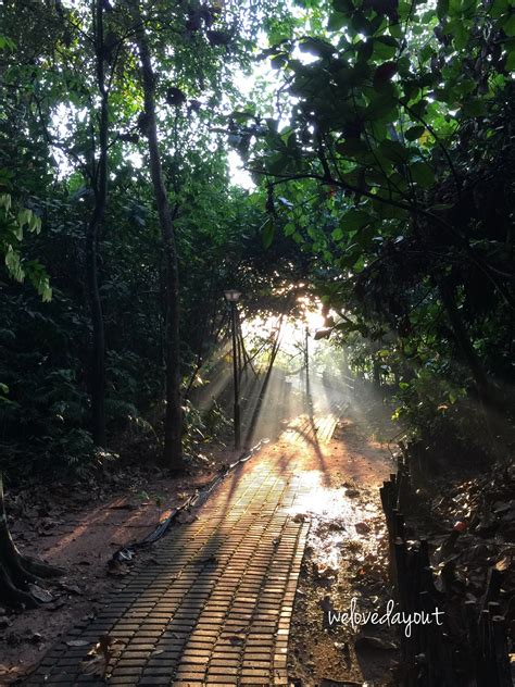 The distance between bukit batok and punggol is 19 km. welovedayout: Fun Hiking Day Out At Bukit Batok Nature Park