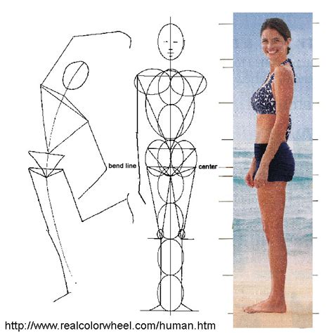 Five types of woman figures: Human Figure Drawing Proportions | Figure drawing, Drawing ...