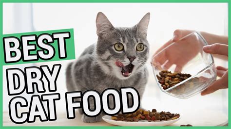 Applaws tuna wet kitten food. Best Dry Cat Food | TOP 5 Dry Cat Foods 2020 🐱 - YouTube