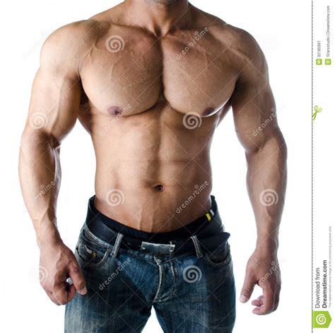But, above all, these muscles are of great physiological importance. Muscular Torso, Pecs, Abs And Arms Of Male Bodybuilder ...