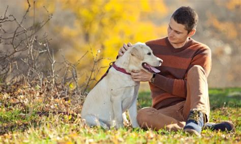 In my opinion dogs are mans best friend unless the person abuses his/her dog in which case can make the dog mean and very violent. How dogs became man's best friend: Scientists pinpoint DNA ...