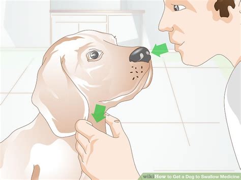 More tips for getting dogs to take pills using crunchy peanut butter helps disguise the crunchiness of the pill. 3 Ways to Get a Dog to Swallow Medicine - wikiHow Pet