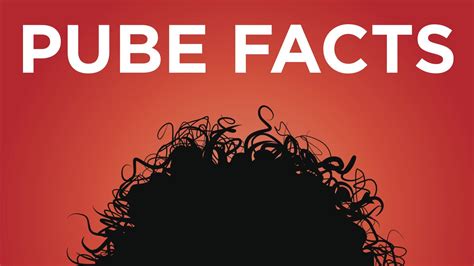 Ah, the pube and balls shave. The Truth About Shaving Your Pubes | Shaved pubes, Truth