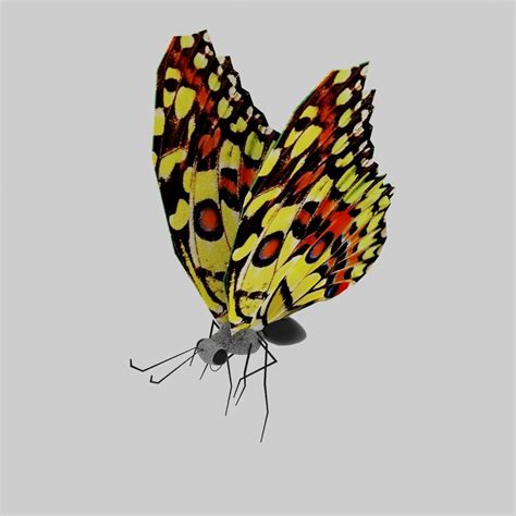 Are there any 3d butterfly wall decals available? 3D model game-ready Butterfly | CGTrader