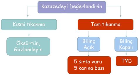 Abbas güçlü ile genç bakış'ta temel yaşam yalnızca yaralının hayatını kaybetmesine sebep olabilecek bir kanama olduğunda uygulanır. İLK YARDIM VE ACİL: SOLUNUM YOLU TIKANMALARINDA İLK YARDIM