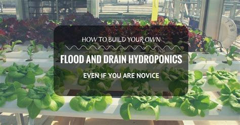 The ebb & flow method floods the grow area with nutrient solution which then drain back into a reservoir containing the pump on a timer. How to Build Your Own Flood and Drain Hydroponics