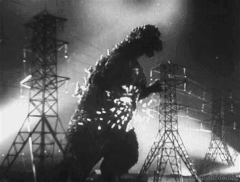 Normally each era is a single continuity, each era following a different version of godzilla over several films, but later iterations have dropped this tradition for more. GIF godzilla facts eiji tsuburaya - animated GIF on GIFER