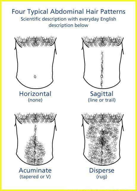 The genius design also ensures that all the hair is neatly and precisely cut and captured without cutting any of your tender pubic skin. 17 Best images about Draw Beards / Moustaches / Facial ...