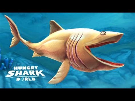 La primera carrera en paul ricard entregó un malestar para los colombianos. Hungry Shark World Nuevo Tiburón Peregrino - YouTube