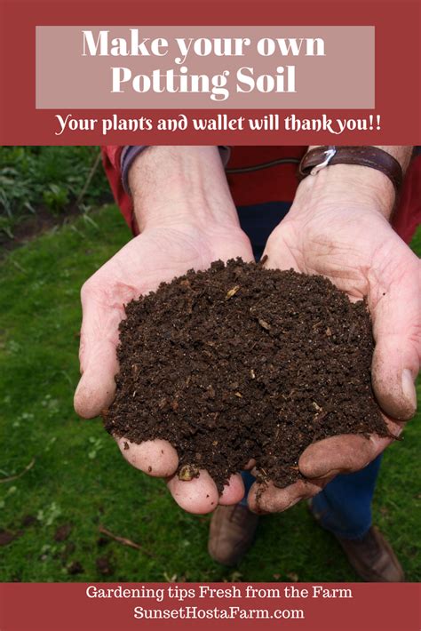 I'm going to teach how to make our cactus potting mix. Make Your Own Potting Soil and Save Money! | Potting soil ...