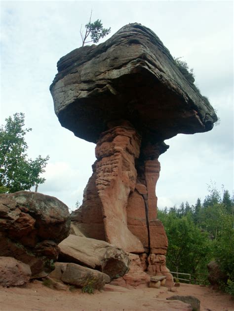 Dahner felsenland (verbandsgemeinde) — dahner felseland est une verbandsgemeinde (collectivité territoriale) de l arrondissement du palatinat sud ouest dans la rhénanie palatinat en allemagne. Teufelstisch im Dahner Felsenland Foto & Bild | landschaft ...