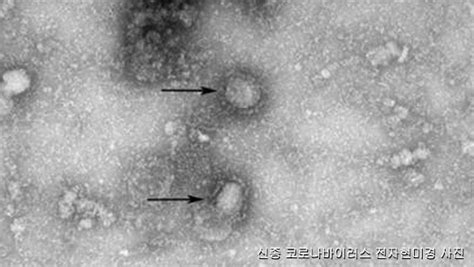 3명의 소규모 가족이라면 가격대비 좋은 선택일듯. 일본 유람선 기항지 오키나와에서 코로나19 감염자 첫 확인