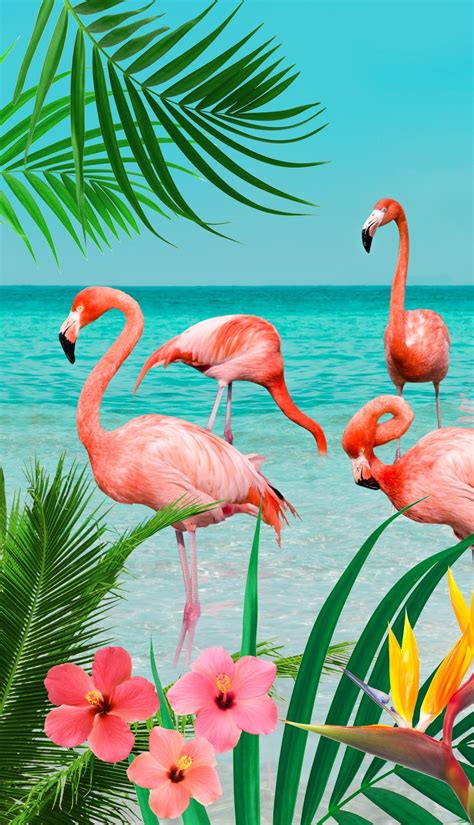 Flamingo shop offers high quality, trendy fashion at affordable prices. Strandlaken Flamingo - Hipdekbedovertrek