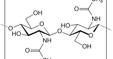 We did not find results for: The Mycelium Connection: Fungal Word Friday: Chitin