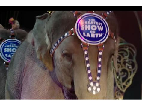 The only animals they had were horses in the show. Nearly Naked PETA Ladies Protesting Ringling Bros.' Circus ...