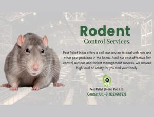 Fuel growth with pestroutes pest control management software. Rodent Control Services Finding the Best Rodent Management ...