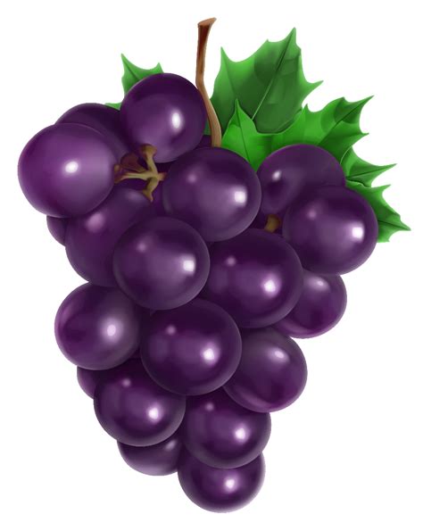 #tags blue cartoon design fruit fun grape happy icon illustration isolated juicy kids summer sweet tasty vector. Download High Quality grape clipart Transparent PNG Images ...