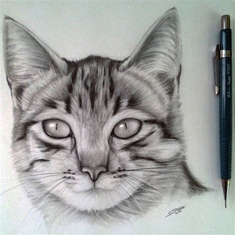 Here comes the fun part: Cat Drawing by LethalChris on DeviantArt