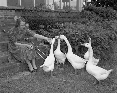 When she was five years old. Ko Flannery O'Connor gyvenimas ir kūryba moko apie rasizmą ...